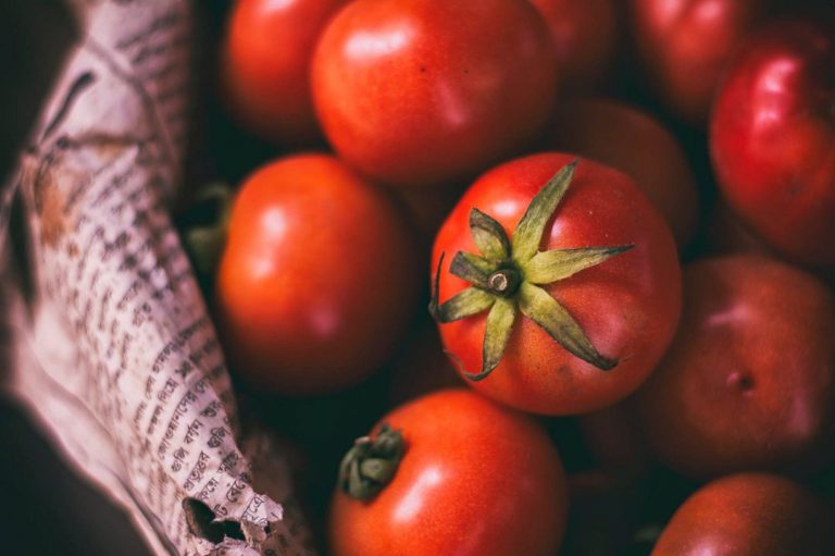 tarte à la tomate